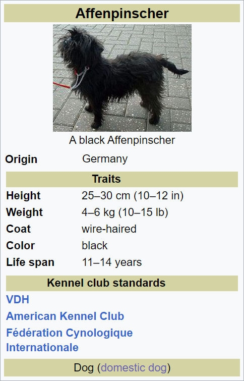 Affenpinscher